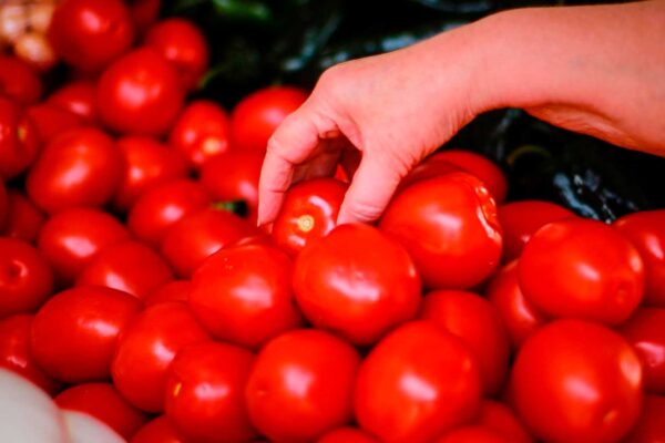 EE. UU. impone aranceles del 20.91% a tomates mexicanos